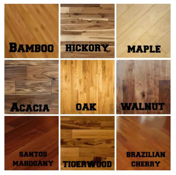 Hardwood species used for flooring