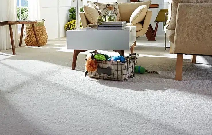 Stainmaster nylon carpet flooring