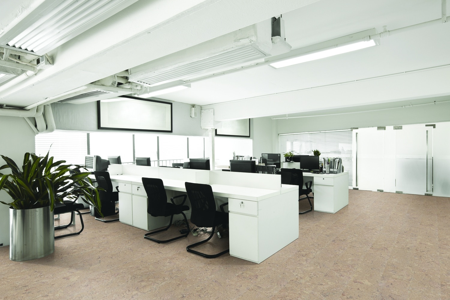 Amorim Cork dealers in Vancouver