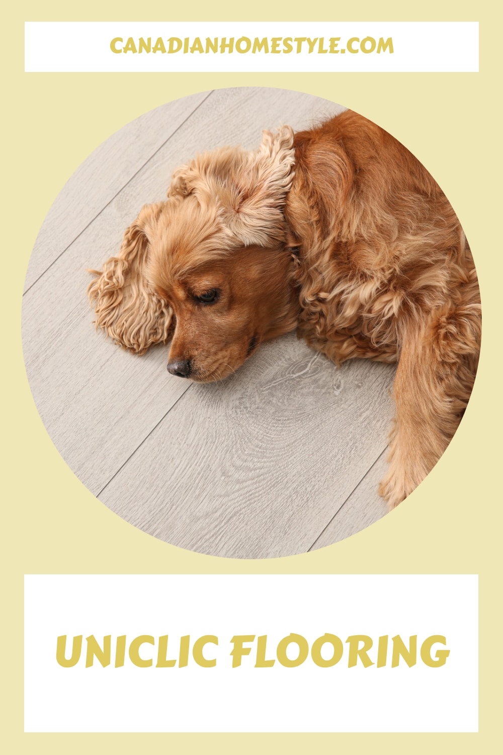 An image of a dog laying on Uniclic flooring.