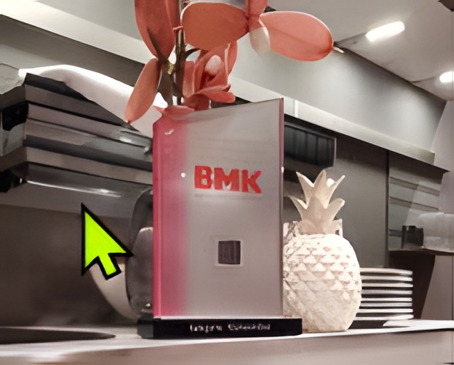 BMK Innovation Prize