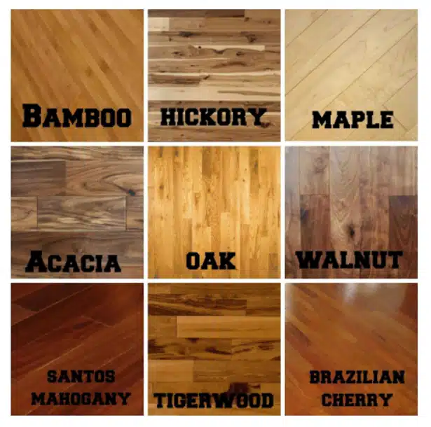 Hardwood species used for flooring 
