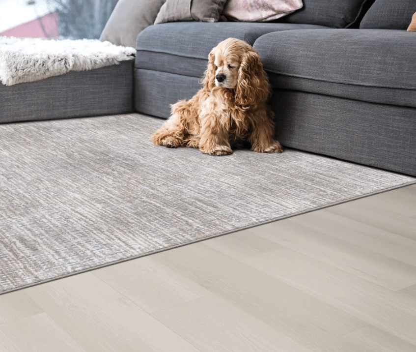 What Is Carpet Flooring? 5 Benefits to Know